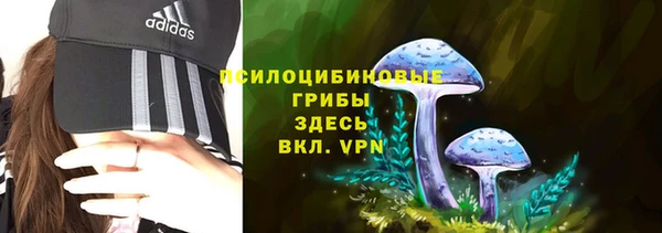 дживик Алзамай