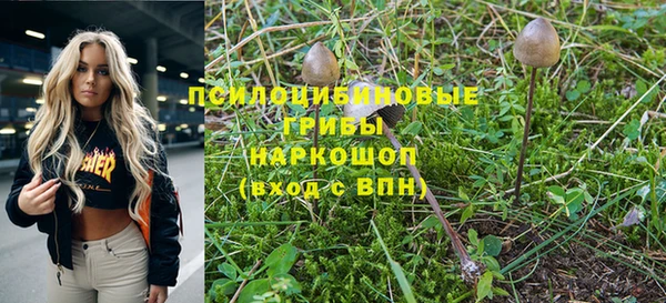apvp Алексеевка