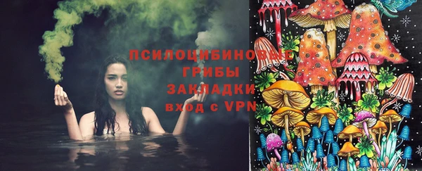 дживик Алзамай
