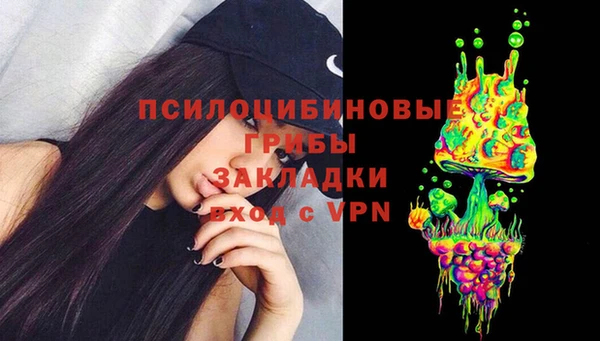 дживик Алзамай