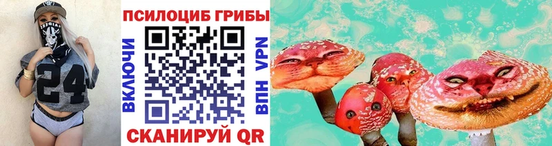 Псилоцибиновые грибы Psilocybe  Тайшет 